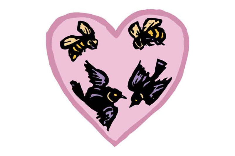 Heart with the "birds and the bess"